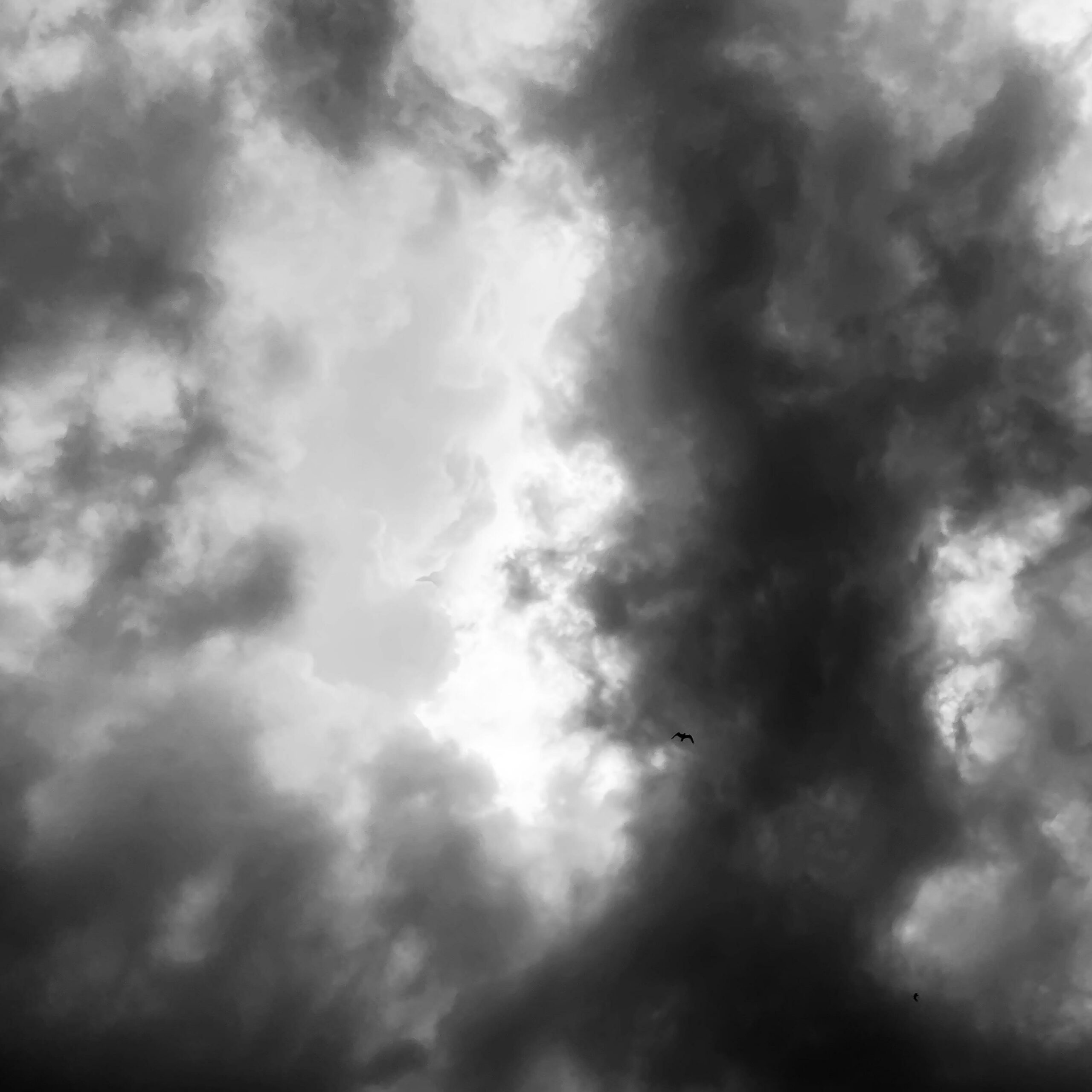 Spettacolo Filarmonica “Ogni cosa è illuminata”